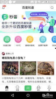 九一网页版免费在线电脑网页版,免费在线电脑网页版深度解析